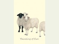 L11 Thinking of Ewe